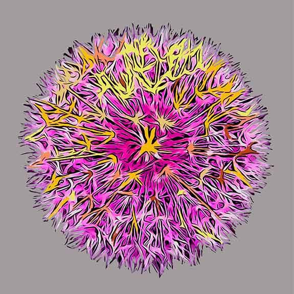 Dandelion Print