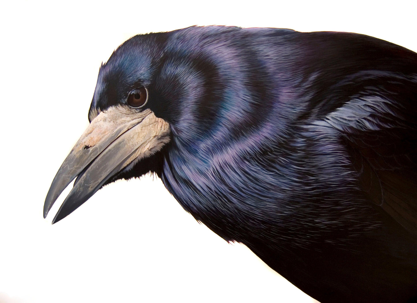 The Rook