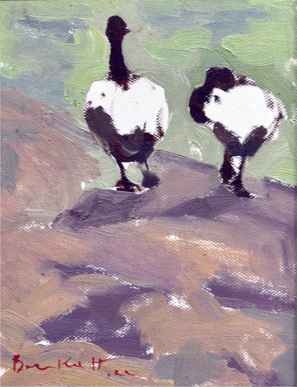 Cards
