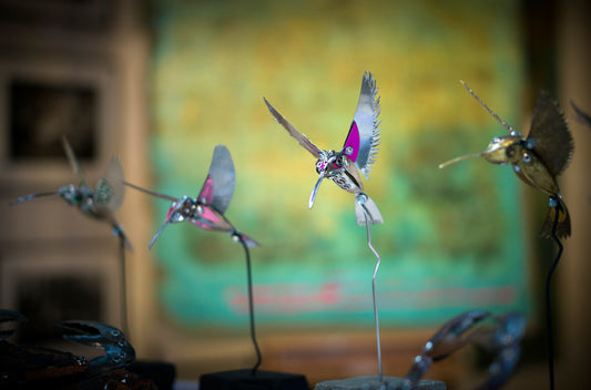 Hummingbird