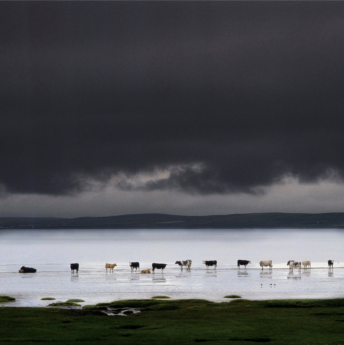 Loch Indaal, Scotland 1994