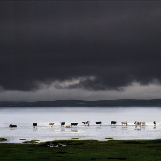 Loch Indaal, Scotland 1994