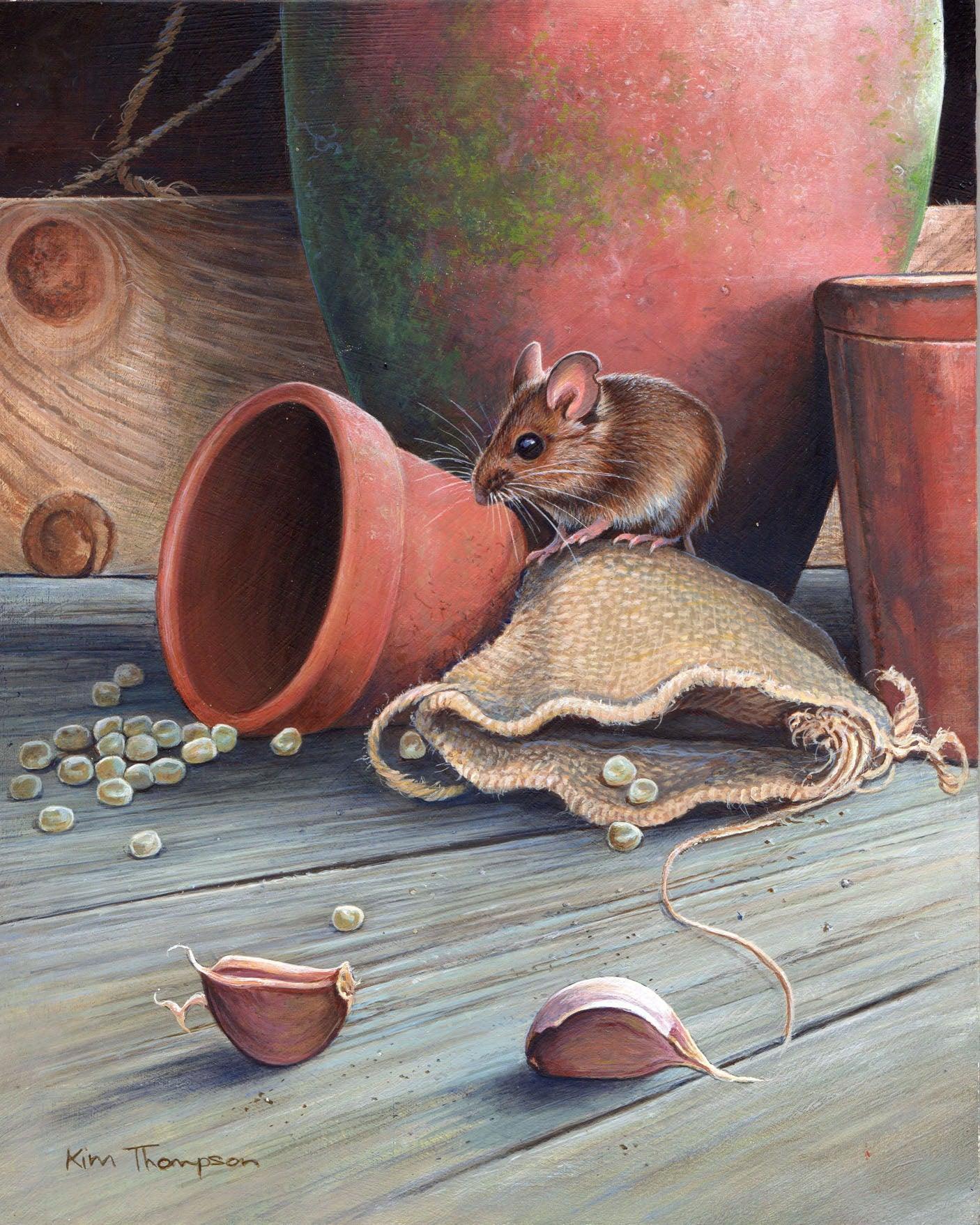 The Potting Shed