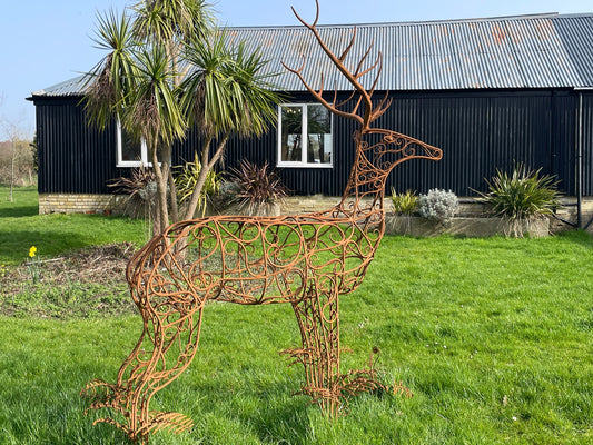 New Forest Red Stag by Stuart Buckham