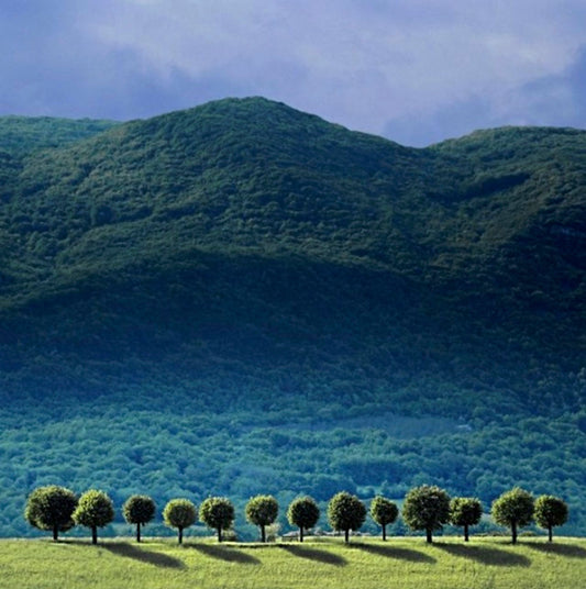 Valence, Vercors, France 1994