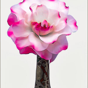 Nick de Rothschild - Giclee Print - Nick de Rothschild Camellia No9
