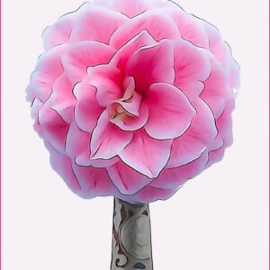Nick de Rothschild - Giclee Print - camellia 1 small