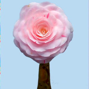 Nick de Rothschild - Giclee Print - camellia16 small