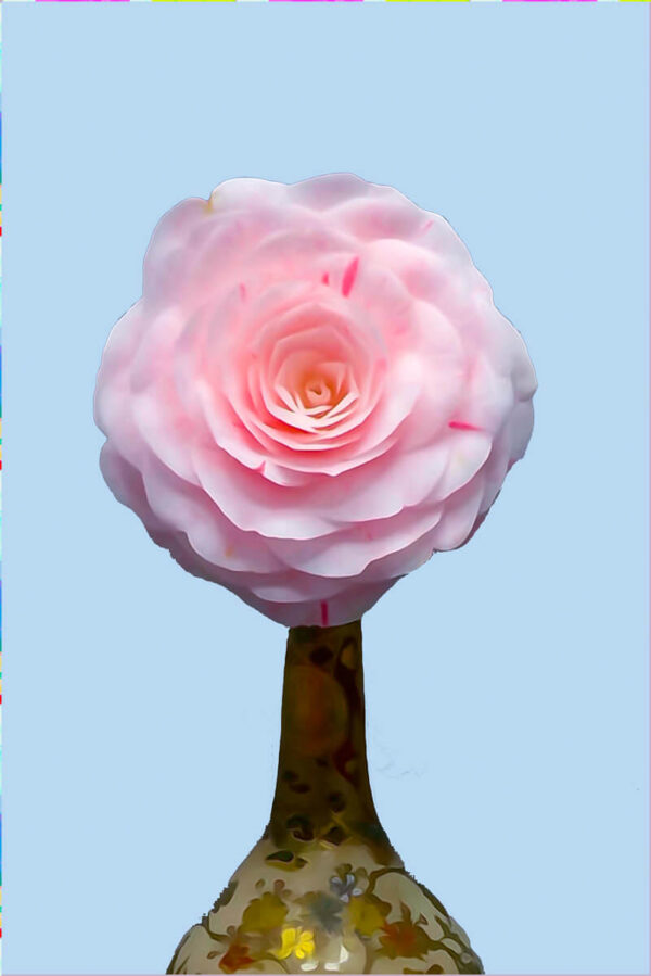 Nick de Rothschild - Giclee Print - camellia16 small