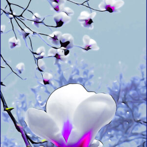 Nick de Rothschild - Giclee Print - magnolia border