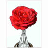 Nick de Rothschild - Giclee Print - red rose small